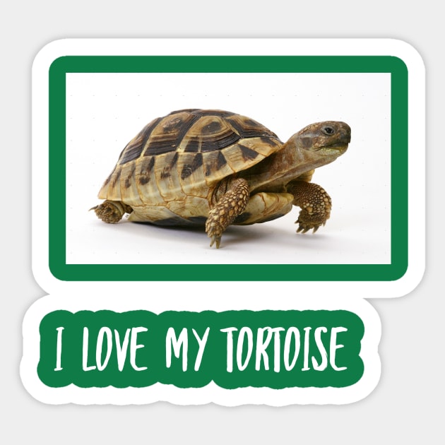 I love my tortoise Sticker by AlternativeEye